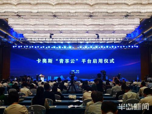 时代红利之青云直上,揭秘成功人士的崛起之路